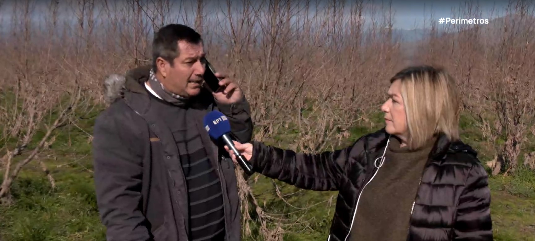 ΚΑρυώτης Φαλάνη Λάρισας