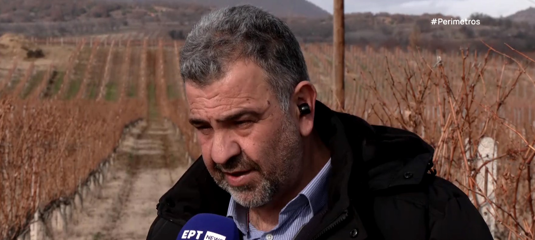 Μιχαηλίδης Αμύνταιο