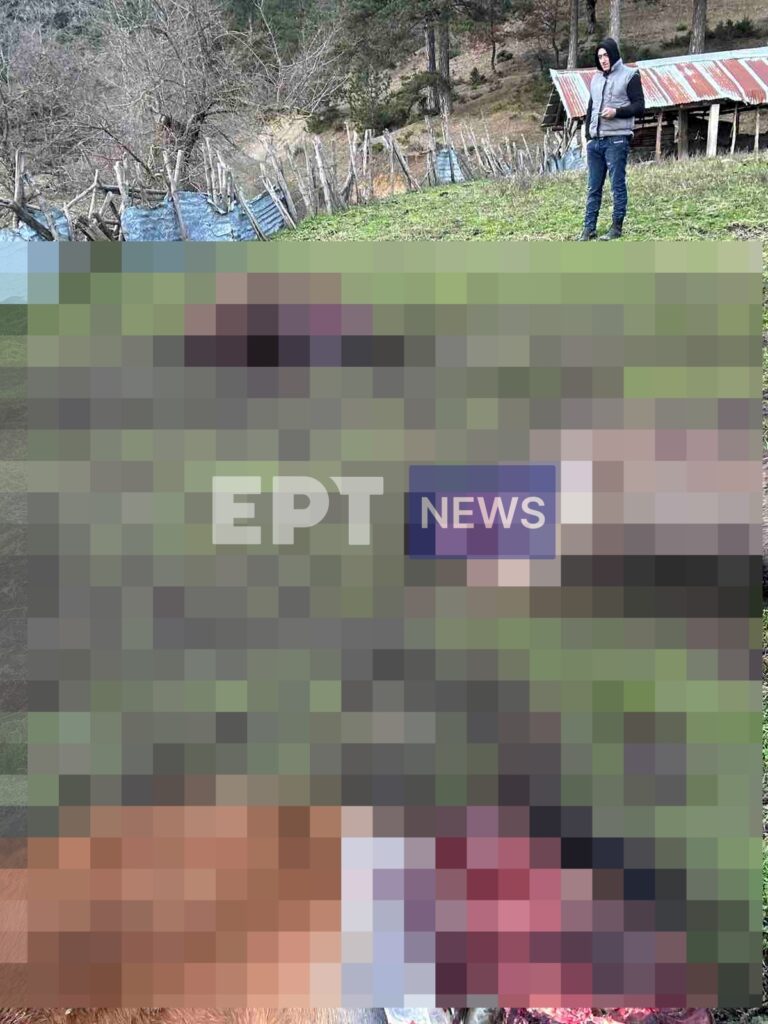 Γρεβενά: Άγνωστοι πυροβόλησαν, σκότωσαν και τεμάχισαν πέντε άλογα στη Σαμαρίνα (φωτό)