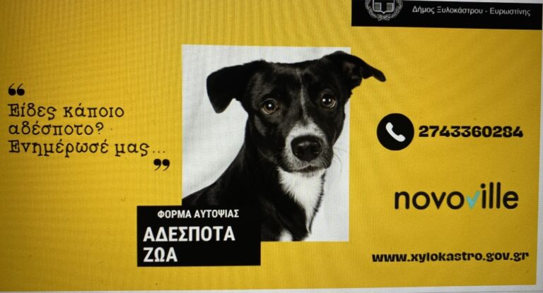 Ο δήμος Ξυλοκάστρου – Ευρωστίνης ζητά τη συνεργασία των πολιτών για τα αδέσποτα ζώα