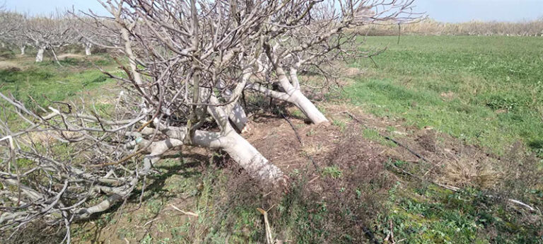 Ηλεία: Ξεκίνησε η καταγραφή των ζημιών μετά την  έντονη κακοκαιρία 