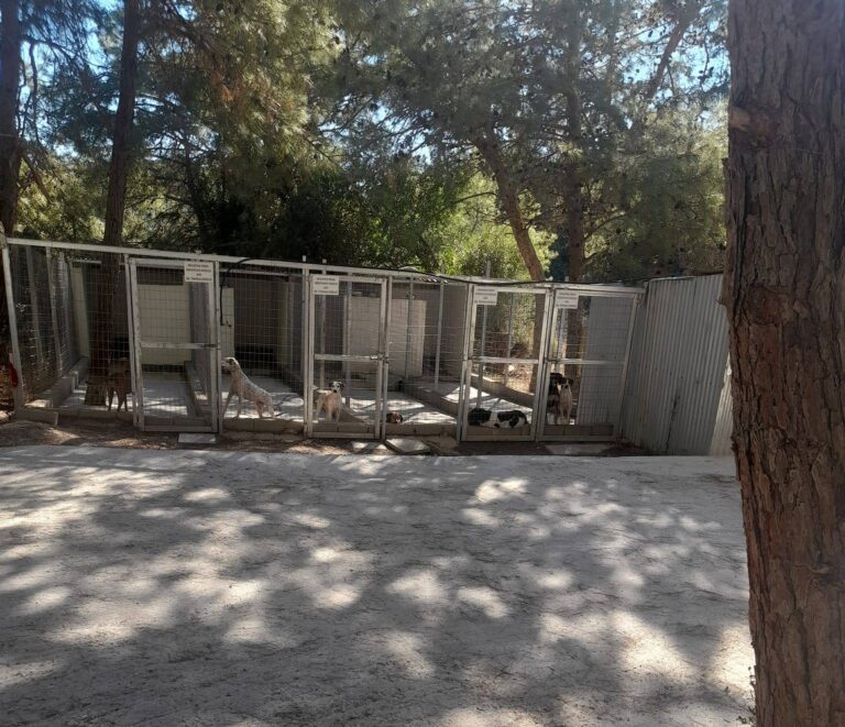 Ρόδος: Αναφορά στην Εισαγγελία για κακοτεχνίες στο δημοτικό Κυνοκομείο