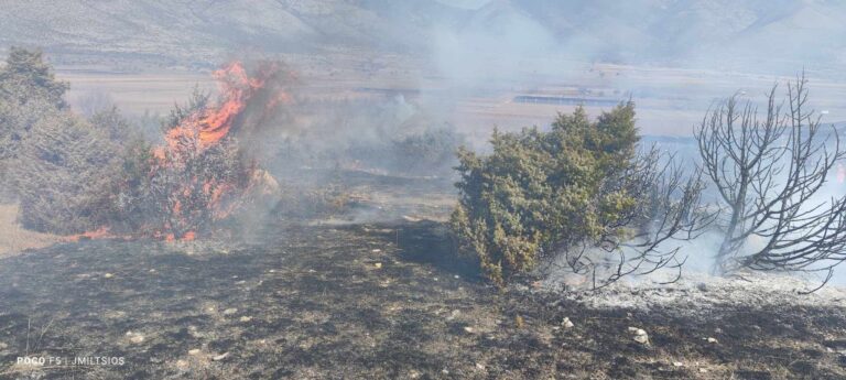 Σέρρες: Πυρκαγιά σε δασική χορτολιβαδική έκταση στο Αχλαδοχώρι