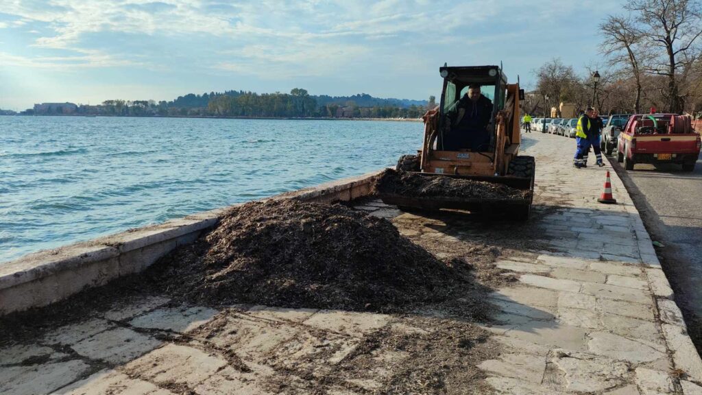 Κέρκυρα: Καθάρισαν το παραλιακό πεζοδρόμιο από τα φύκια