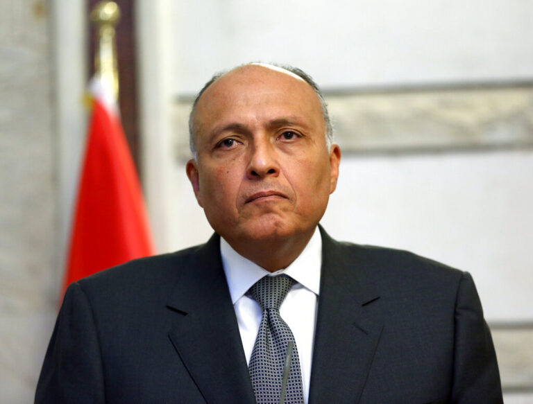 Sameh Shoukry