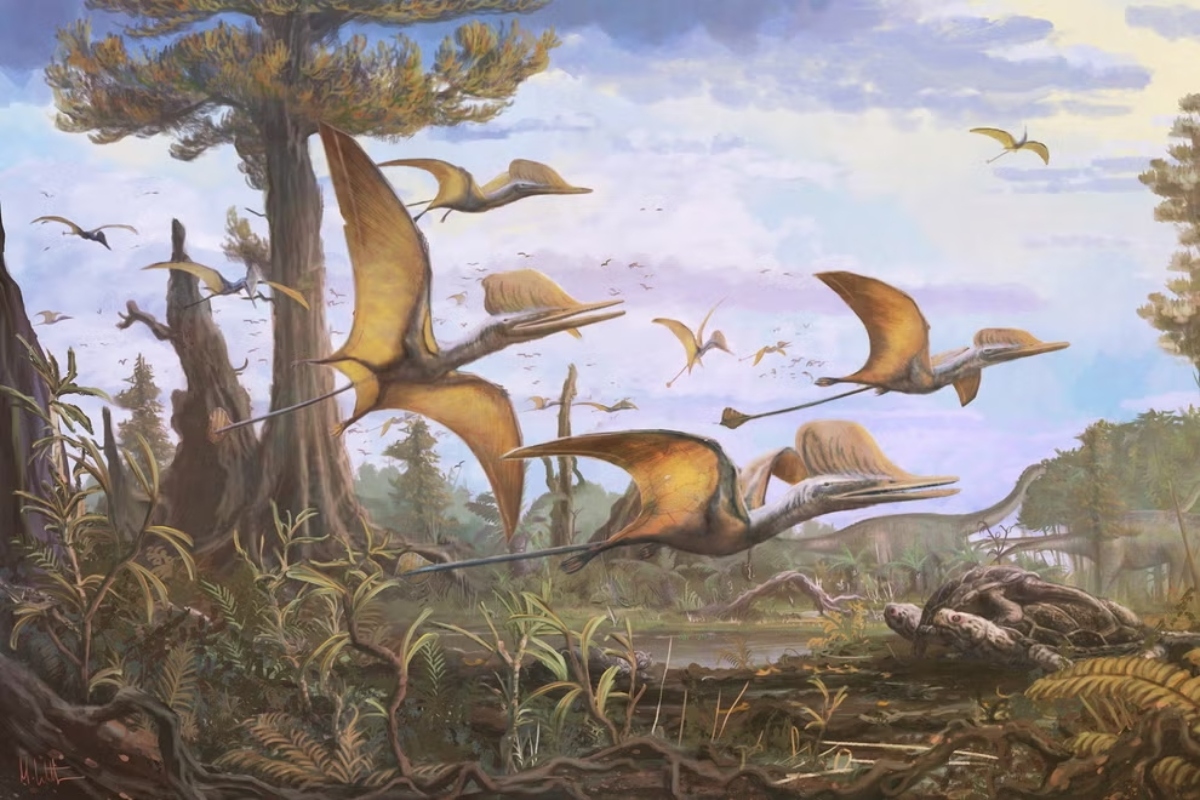 Ανακαλύφθηκε άγνωστο είδος πτερόσαυρου σε νησί της Σκωτίας