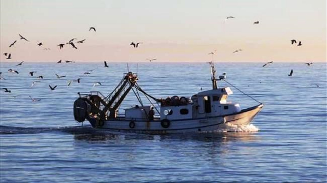 Πρωινή ψαριά στα ανοιχτά της Χίου