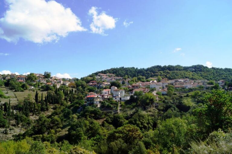 Ένας φούρνος στην Ζίτσα έκανε το ελληνικό ψωμί διεθνές αξιοθέατο