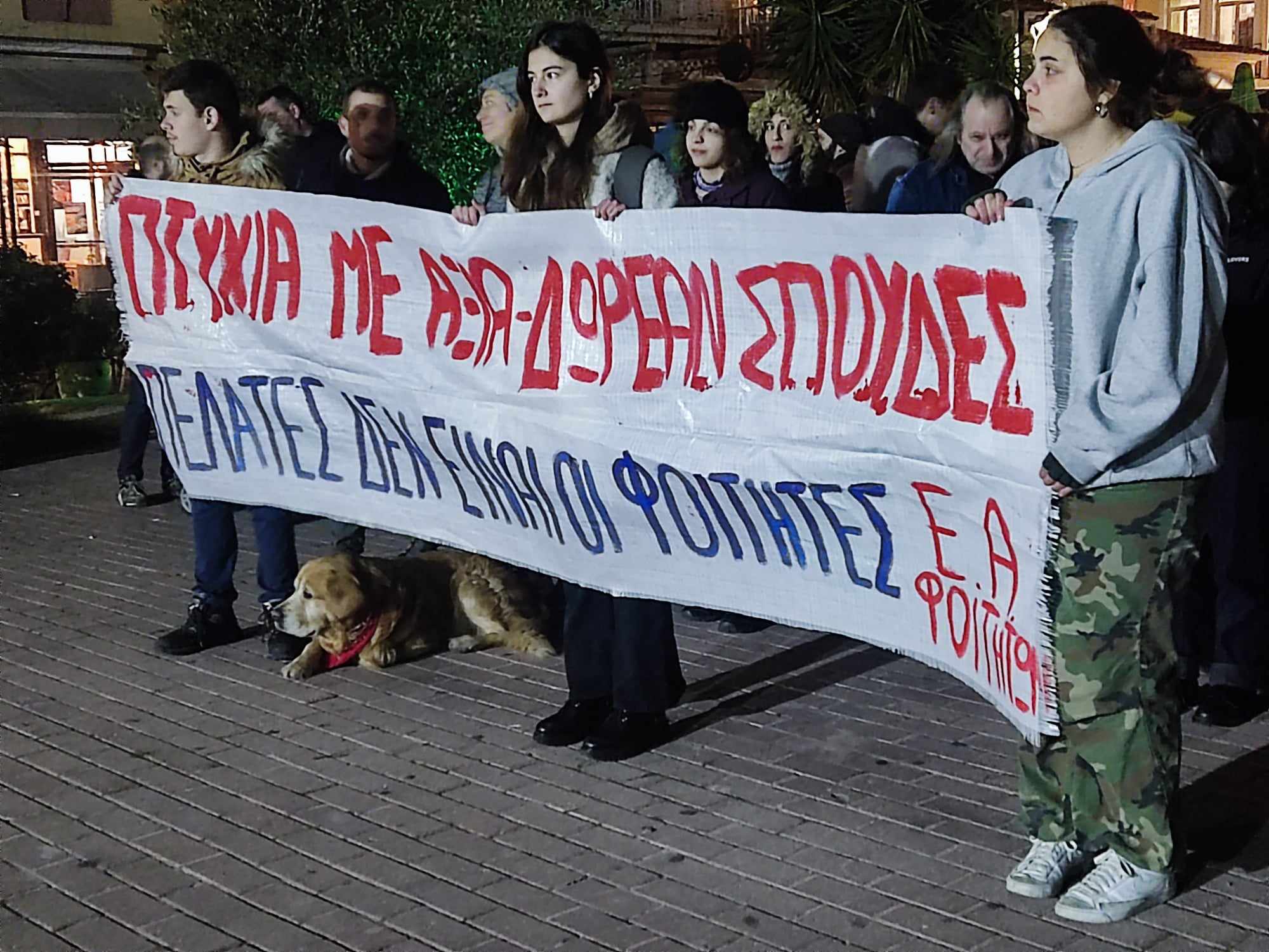 Λέσβος: Διαμαρτυρία κατά της ίδρυσης μη κρατικών πανεπιστημίων