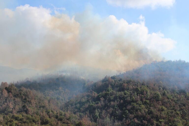 Δασική πυρκαγιά στο Δερβένι της Μεγαλόπολης – Ενισχύονται οι δυνάμεις πυρόσβεσης