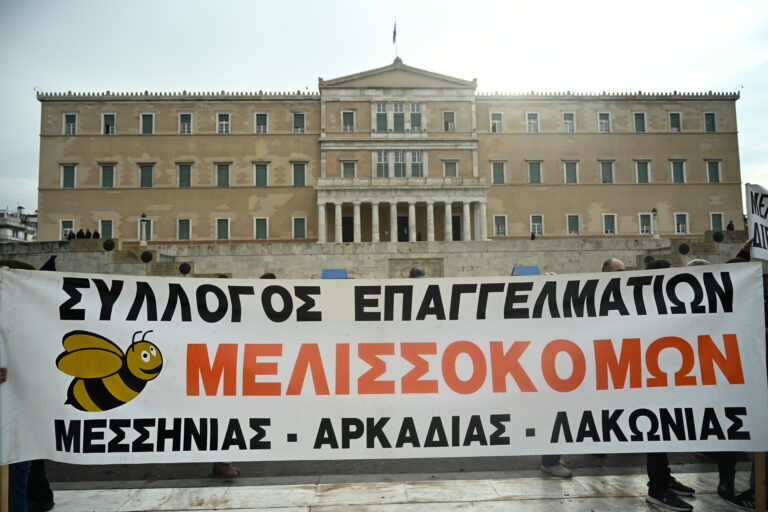 Συνάντηση Αυγενάκη – μελισσοκόμων: Εντατικοί έλεγχοι για το θέμα των ελληνοποιήσεων