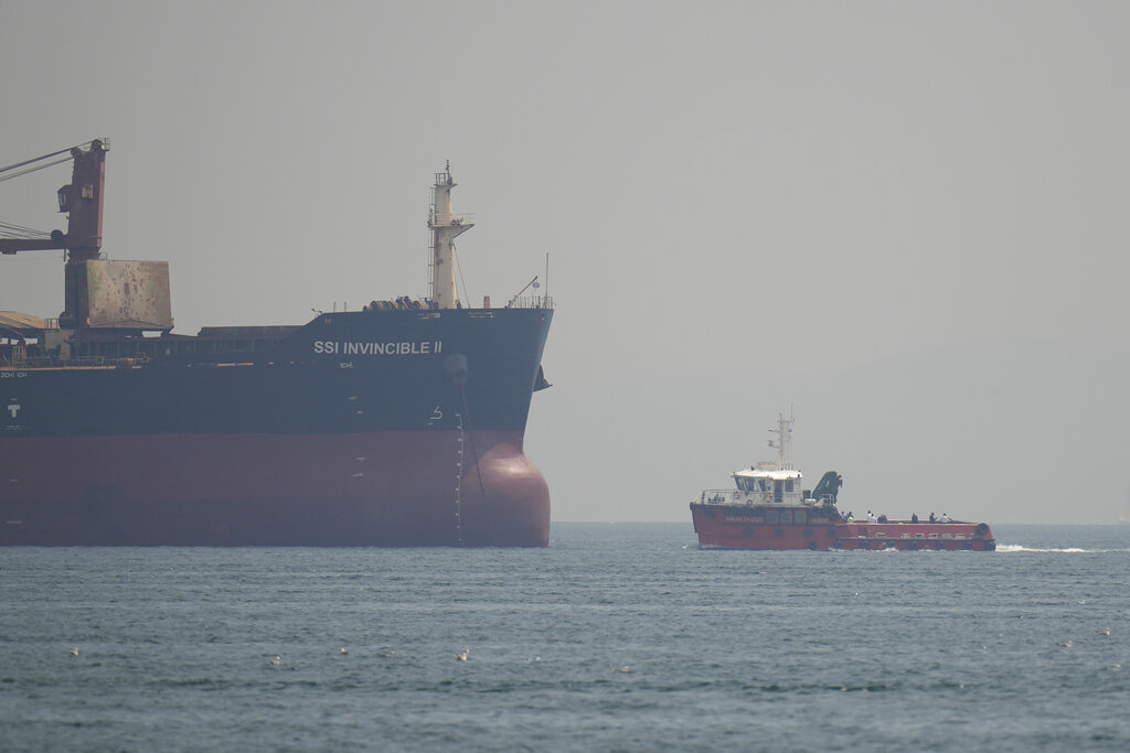 Τουρκία: Εμπορικό πλοίο βυθίστηκε στη θάλασσα του Μαρμαρά – Αγνοούντα τα έξι μέλη του πληρώματος