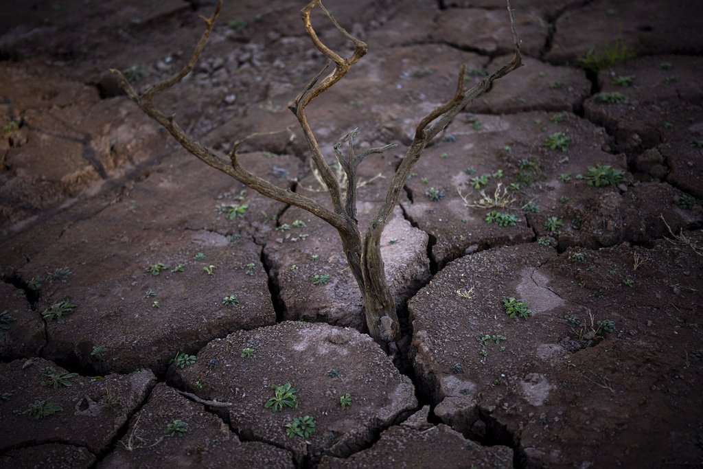 Συνθήκες ξηρασίας στο μεγαλύτερο μέρος της ανατολικής ηπειρωτικής Ελλάδας – Ποιες περιοχές κινδυνεύουν με ερημοποίηση