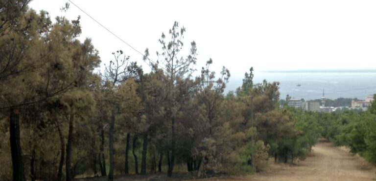 Θεσσαλονίκη: Εκπαιδευτική ημερίδα για την πρόληψη και αντιμετώπιση δασικών πυρκαγιών