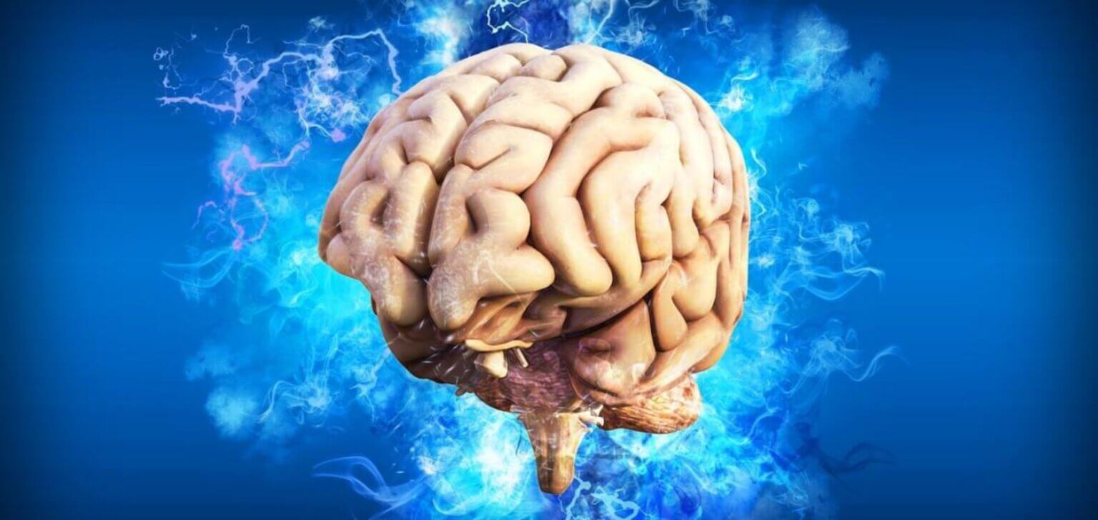 brain-1536x728