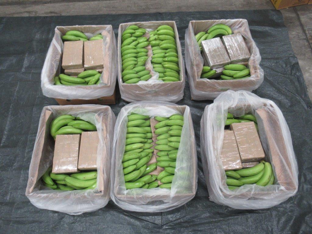 Στην κατάσχεση ποσότητας-ρεκόρ 5,7 τόνων κοκαΐνης σε φορτίο με μπανάνες προχώρησαν οι βρετανικές αρχές