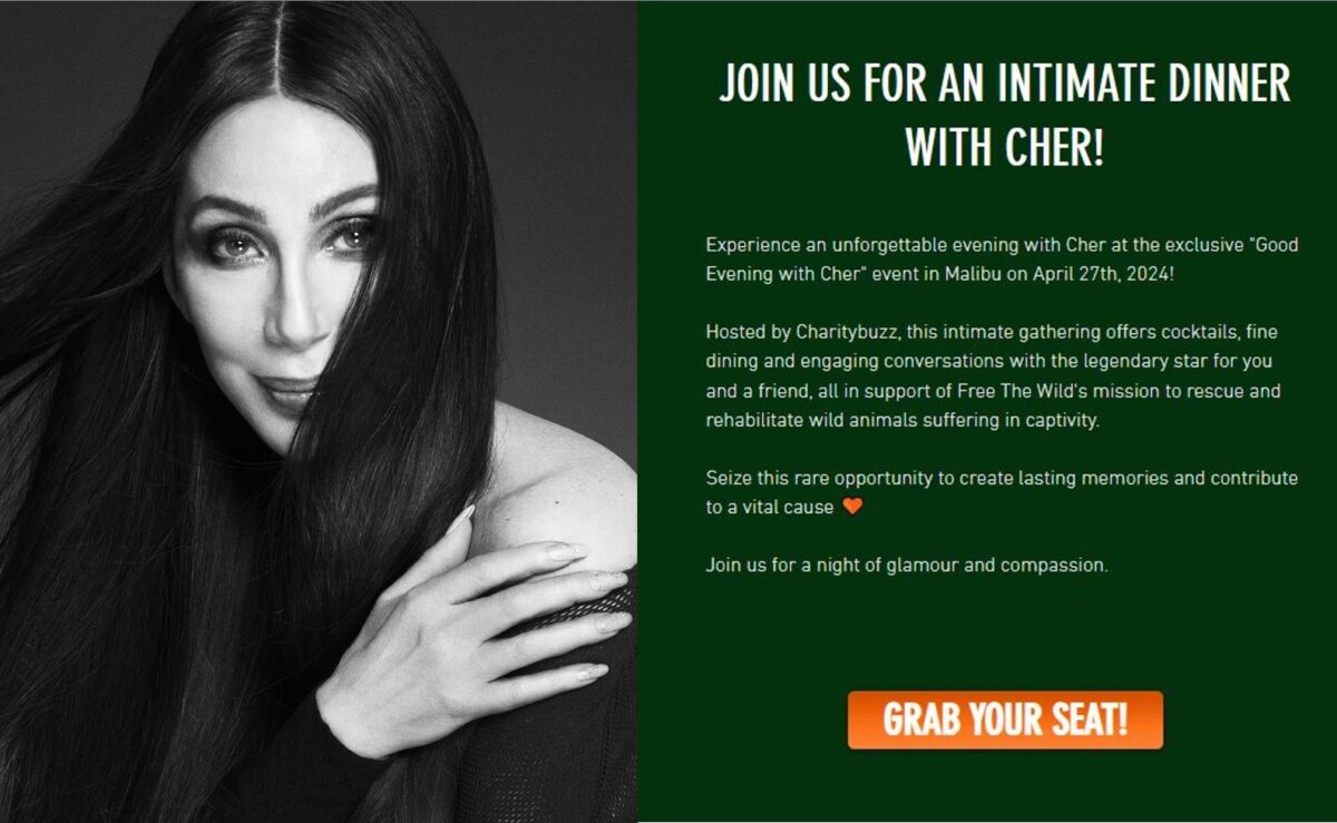 cher charity dinner