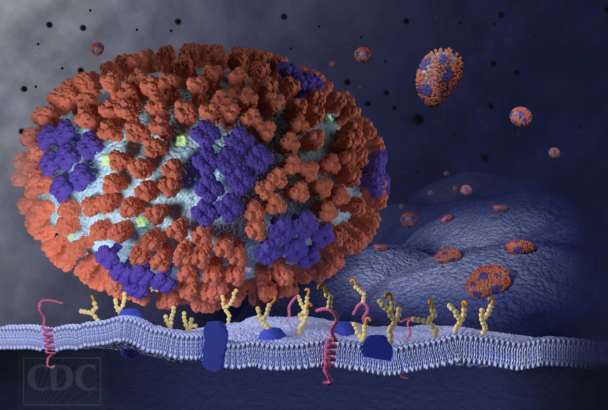 influenza-virus-nolabels