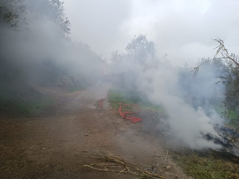 Χανιά: Πρόστιμα 500 ευρώ σε δύο άτομα για κάψιμο κλαδιών σε χωριά του Δήμου Πλατανιά