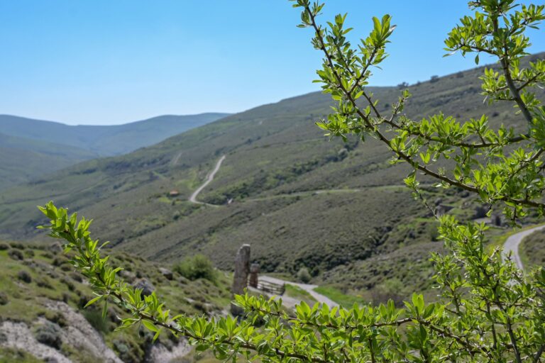 Ο Δήμος Βοΐου καλωσορίζει την Άνοιξη στο Νησάκι Νεάπολης