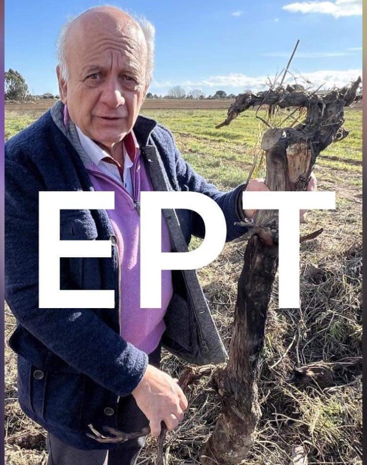 Πύργος – Σ. Γιακουμέλος: Ξεριζώθηκε το γενετικό υλικό των σταφιδοπαραγωγών
