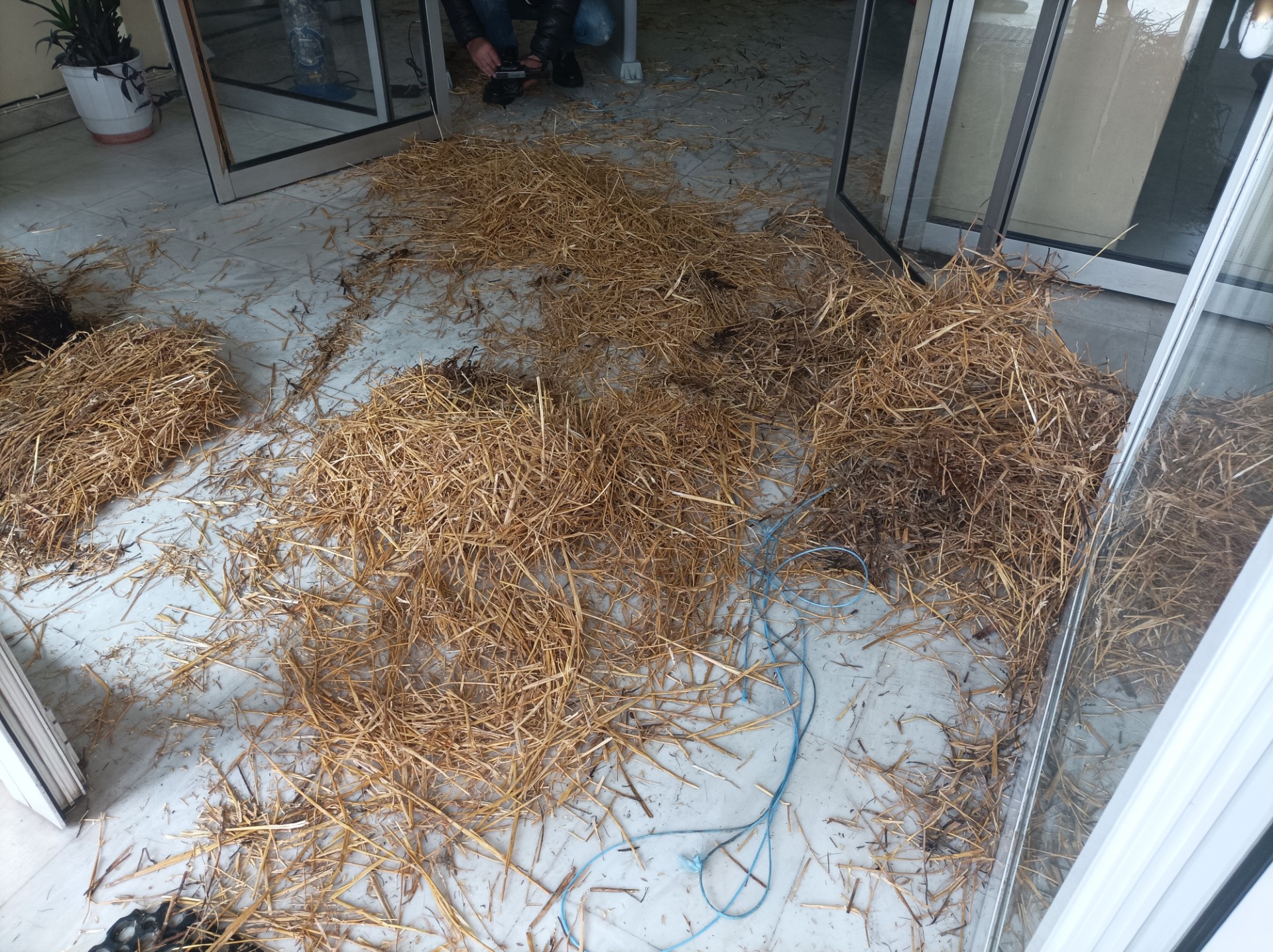 Λάρισα: Οι αγρότες απέκλεισαν το Τελωνείο με τρακτέρ και μπάλες άχυρο