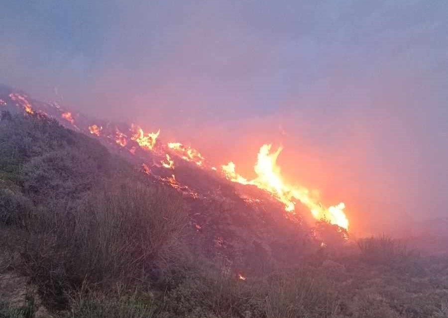 πυρκαγιά Σητεία