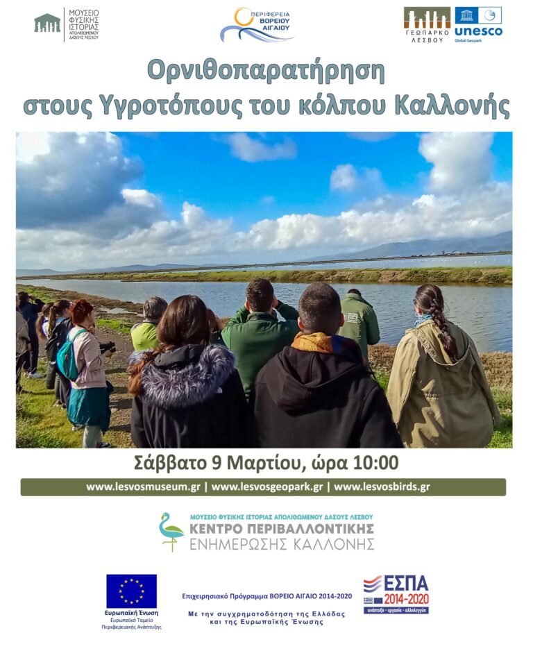 Λέσβος: 3η Ανοιξιάτικη εξόρμηση φύσης στην Αλυκή Καλλονής