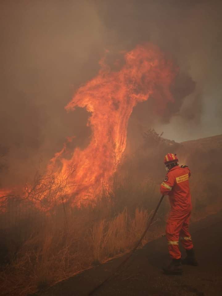 Υπό έλεγχο η φωτιά στην Αρνά Λακωνίας (video)