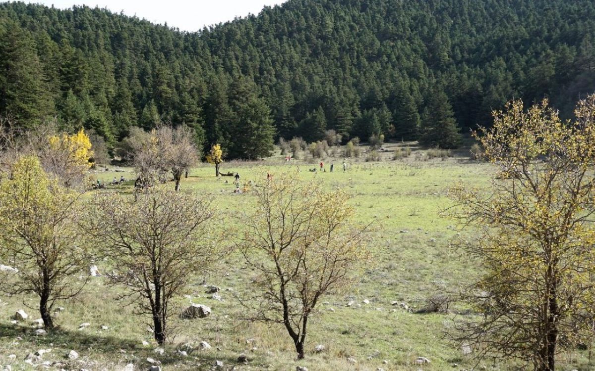 Μεσσηνία: Καθαρισμός στην περιοχή του «Κρατήρα» με τον Ορειβατικό