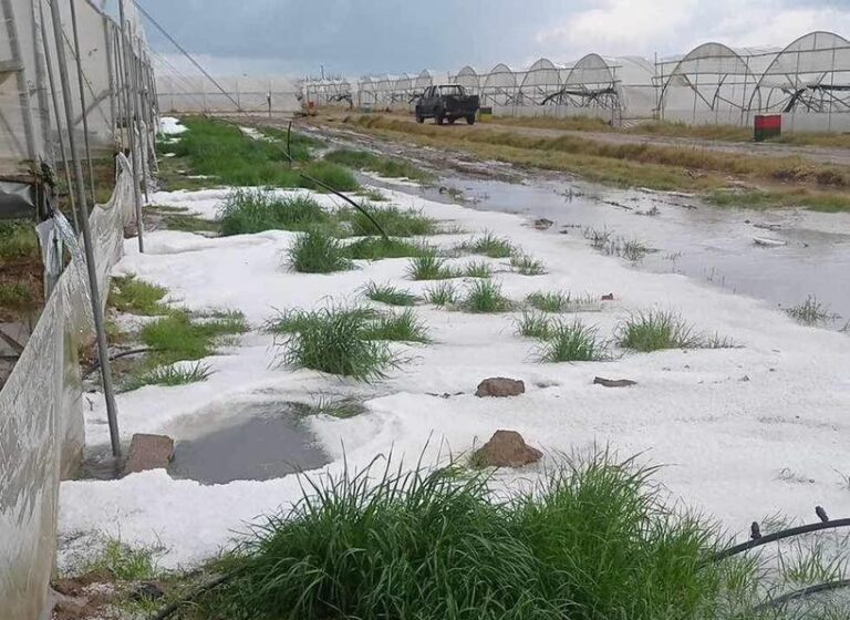 Καταστροφή καλλιεργειών από χαλάζι σε Γαστούνη και κοινότητες Ήλιδας και Πηνείας