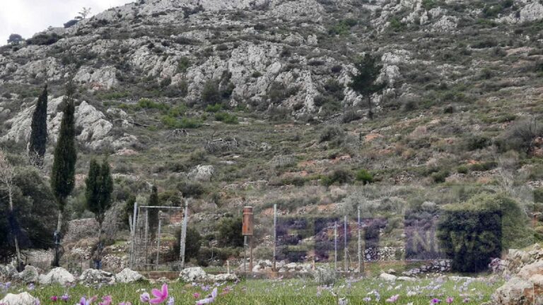 Χίος: Τι νερά έπεσαν φθινόπωρο και χειμώνα