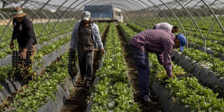 Ευρωπαϊκή Επιτροπή: Πρόγραμμα στήριξης των Βούλγαρων αγροτών ύψους 86,9 εκατομμυρίων ευρώ