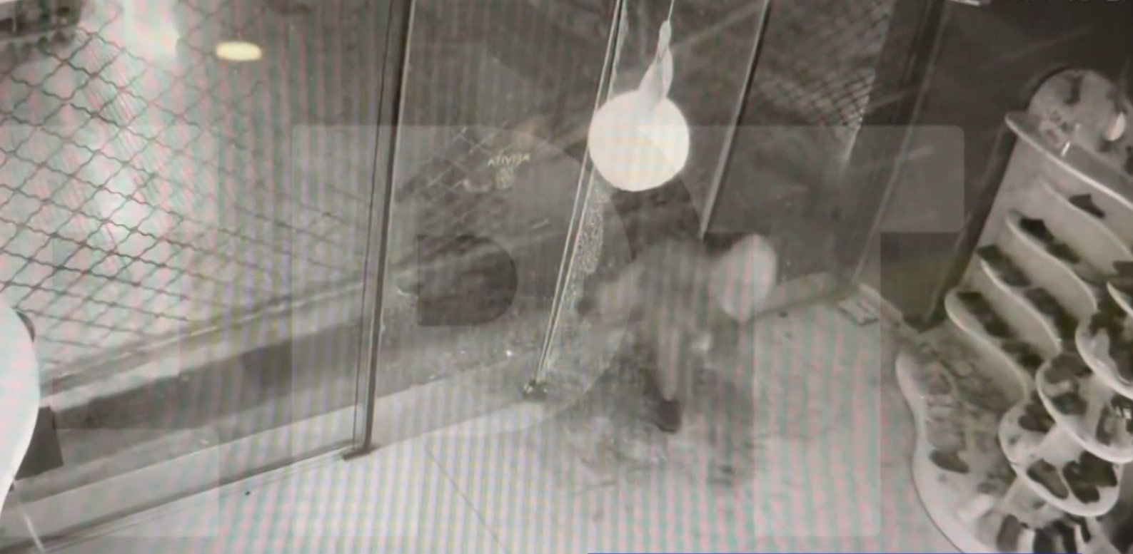 Screenshot_1