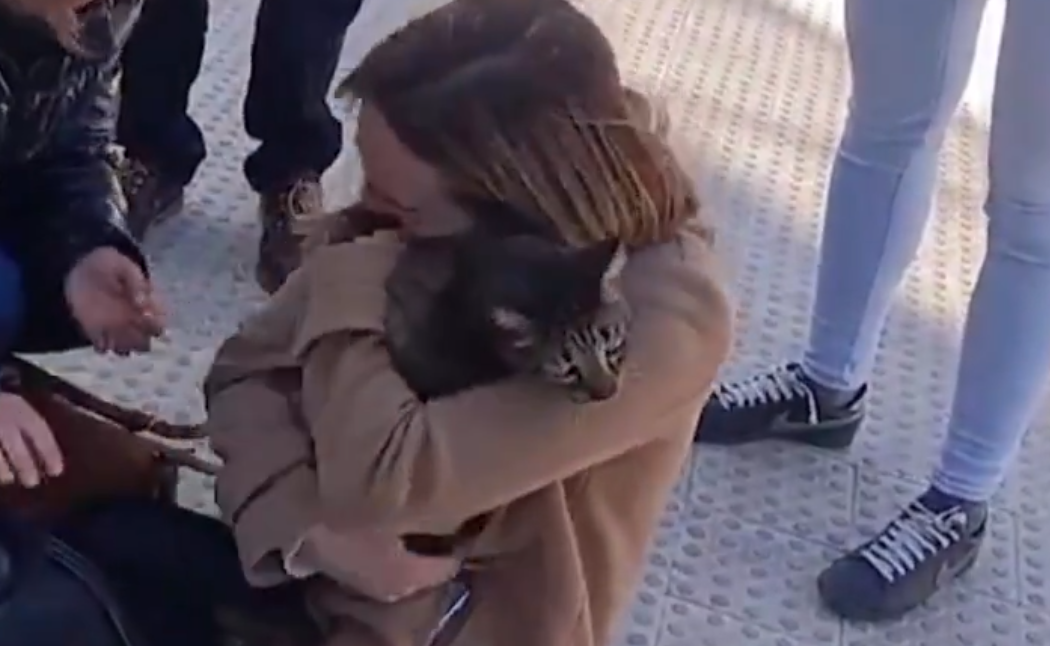 Το θαύμα του Κόκο: Γάτος βρέθηκε ζωντανός στα αποκαΐδια της Βαλένθιας (video)