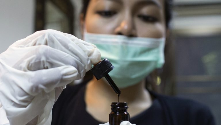Process kicks off to legalize the use of marijuana for medicinal purposes in Thailand
