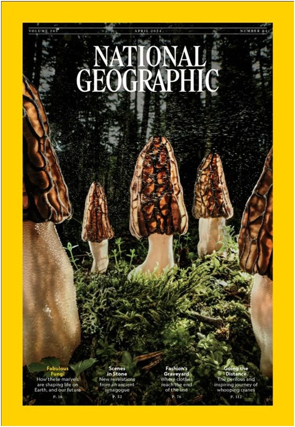 Εξώφυλλο στο National Geographic φωτογραφίες του Α. Παπατσάνη από τη Δεσκάτη Γρεβενών