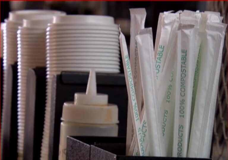 Plastic-Free εποχή για τις επιχειρήσεις της Ρόδου