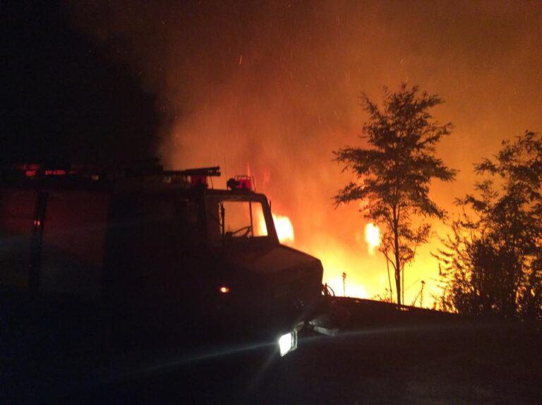 Φωτιά στον Ταΰγετο: Ολονύχτια η μάχη με τις φλόγες – Δεν απειλούνται κατοικημένες περιοχές (video)