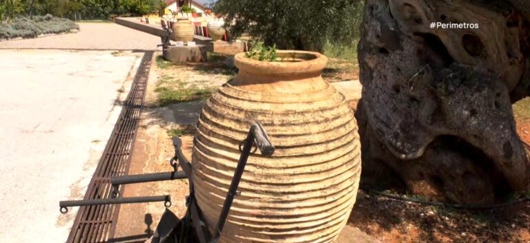 Στο Άστρος Κυνουρίας το πρώτο θεματικό πάρκο ελιάς