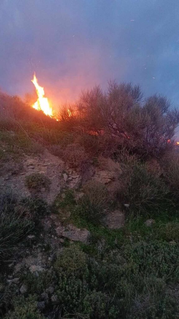 Υπό έλεγχο πυρκαγιά στην Σκοπή Σητείας – “Καμπανάκι” από την Πυροσβεστική λόγω των ισχυρών ανέμων