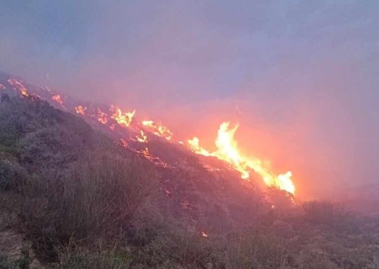 Υπό έλεγχο πυρκαγιά στην Σκοπή Σητείας – “Καμπανάκι” από την Πυροσβεστική λόγω των ισχυρών ανέμων