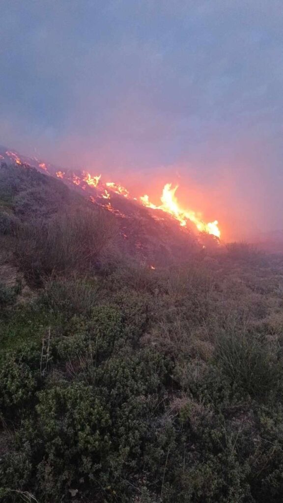 Υπό έλεγχο πυρκαγιά στην Σκοπή Σητείας – “Καμπανάκι” από την Πυροσβεστική λόγω των ισχυρών ανέμων