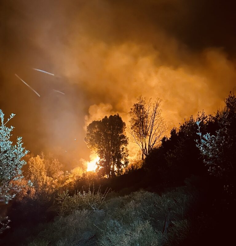 Καλαμάτα: 80 στρέμματα δασικής έκτασης έκαψε η φωτιά στον Ταΰγετο – Παραμένουν ισχυρές δυνάμεις στην περιοχή