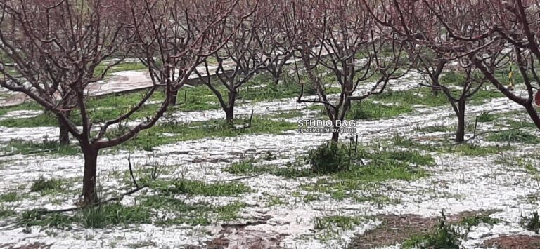 Xαλαζόπτωση σημειώθηκε χθες το απόγευμα στον οικισμό του Παλλαδίου του δήμου Ιάσμου – Ζημιές σε καλλιέργειες