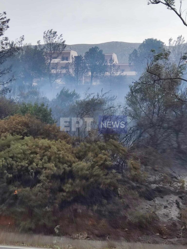 Χανιά: Χωρίς ενεργό μέτωπο η μεγάλη φωτιά στην περιοχή του Ναυστάθμου Σούδας – Προληπτικές εκκενώσεις