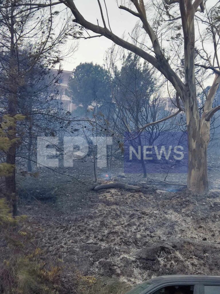 Χανιά: Χωρίς ενεργό μέτωπο η μεγάλη φωτιά στην περιοχή του Ναυστάθμου Σούδας – Προληπτικές εκκενώσεις