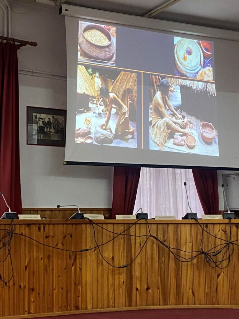 Δεσκάτη Γρεβενών: Ευρήματα απο την Παλαιολιθική αλλά και την Ρωμαϊκή εποχή σε αρχαιολογικές ανασκαφές