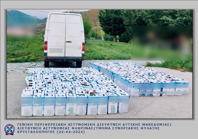 Φλώρινα: 29χρονος μετέφερε παράνομα 242 φιάλες με ψυκτικό υγρό