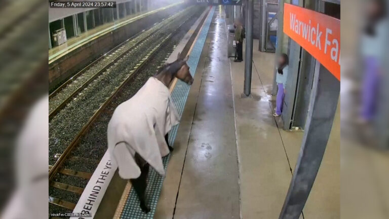 Βίντεο: Άλογο κόβει βόλτες σε σταθμό τρένου στην Αυστραλία
